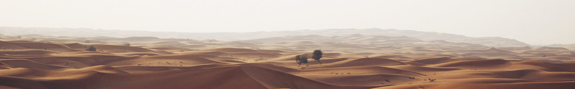 ɽ촴Ƽ޹˾